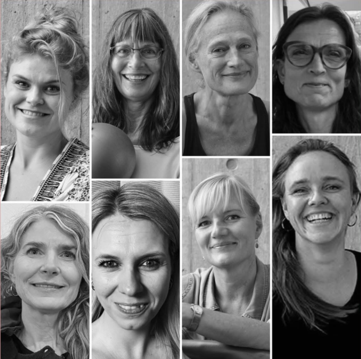 Collage af apa undervisere