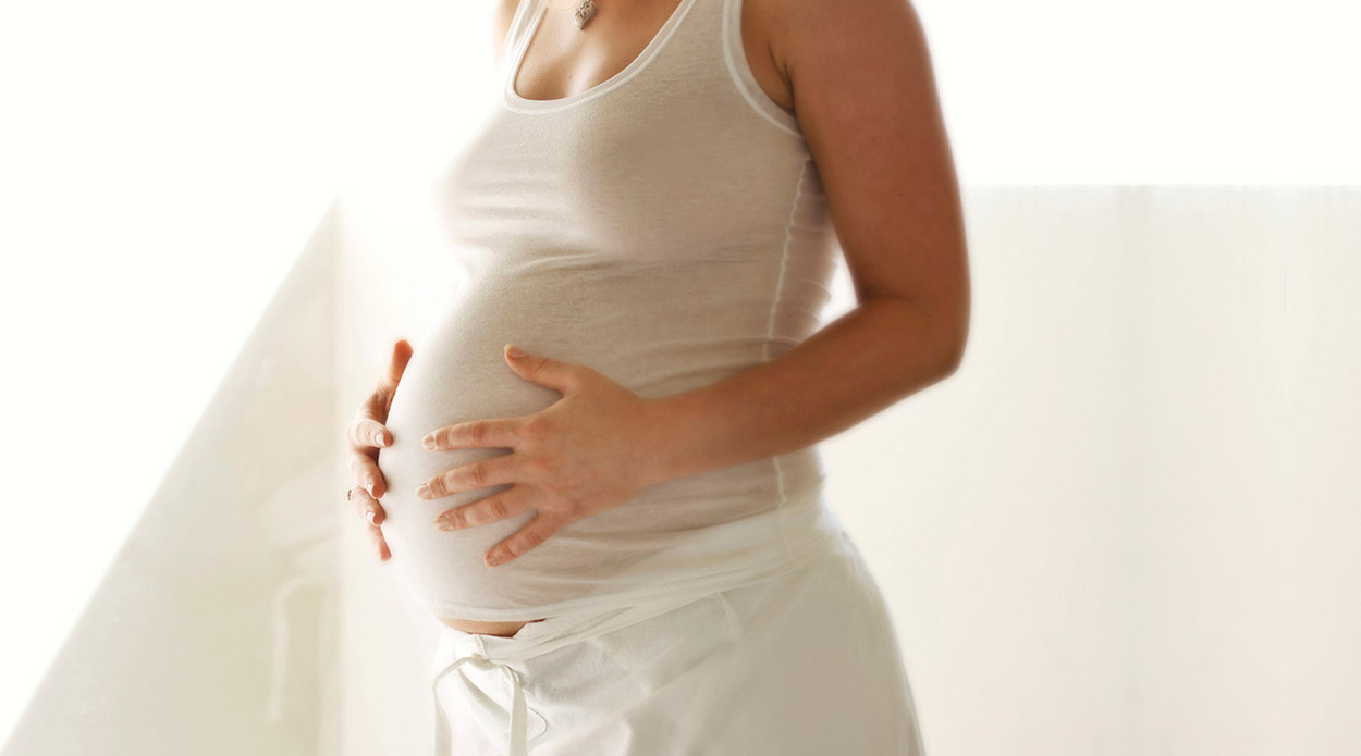 Gravid